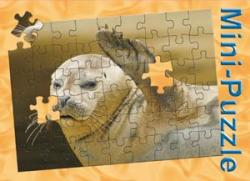 Minipuzzle Seehund 
