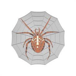 Spinne im Netz 