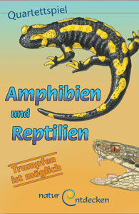 Amphibien und Reptilien 