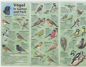 Vögel in Garten und Park 