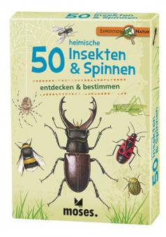 50 heimische Insekten und Spinnen 