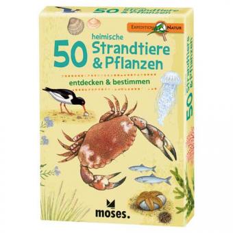 50 heimische Strandtiere und Pflanzen 