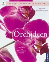 Orchideen. Die schönsten Arten und Sorten 