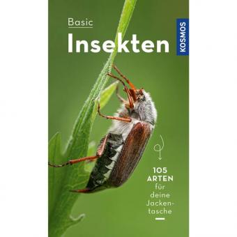 Basic Insekten 