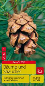 3er Check – Bäume und Sträucher 