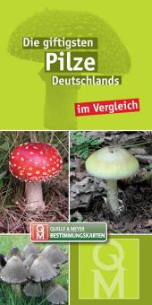 Die giftigsten Pilze Deutschlands im Vergleich 