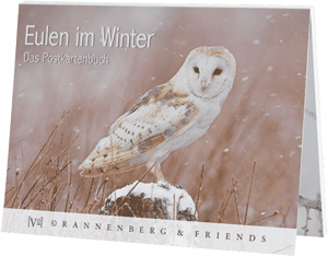 Postkartenbuch Eulen im Winter 