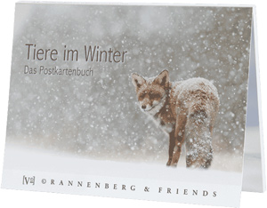 Postkartenbuch Tiere im Winter 