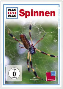 DVD Spinnen 