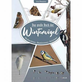 Das große Buch der Wintervögel 
