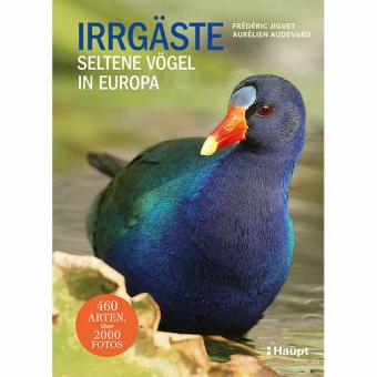 Irrgäste - Seltene Vögel in Europa 