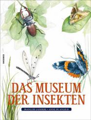 Das Museum der Insekten 