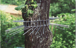 Katzenabwehrgürtel für Bäume bis 115 cm Umfang