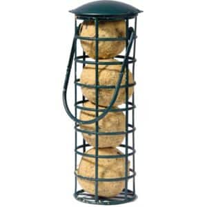 Dobar Futterspender mit 4 Meisenknödeln für Wildvögel 7 cm x 7 cm x 20 cm Grün