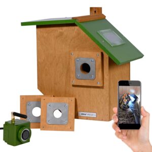 Dobar Holz-Nistkasten Flachdach inkl. HD-WiFi-Kamera und App FSC®