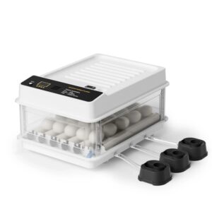 Fudajo Vollautomatischer Flächenbrüter 24 Eier Brutmaschine Hühner Inkubator