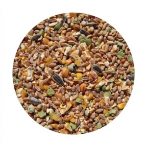 Klasebo HÜHnerfutter KÖRnerfutter 25 kg für HÜHner GÄNse Enten