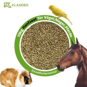 Klasebo Hanfsaat 10 kg für Vögel Nager und Pferde