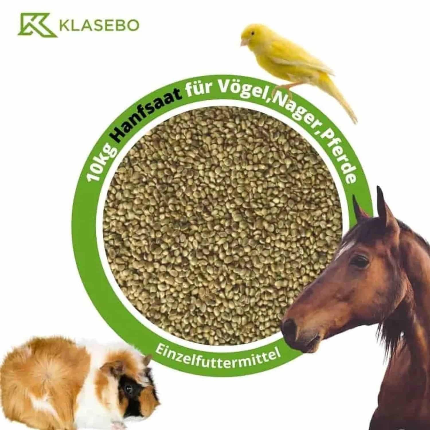 Klasebo Hanfsaat 10 kg für Vögel Nager und Pferde
