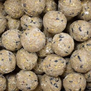 Klasebo MeisenknöDel Premium Mit Insekten 100 X Ca90 Gramm Ohne Netz