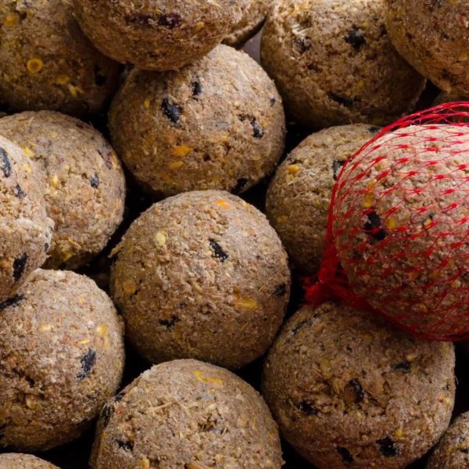 Klasebo MeisenknöDel Premium Mit Insekten 200 X Ca90 Gramm Mit Netz