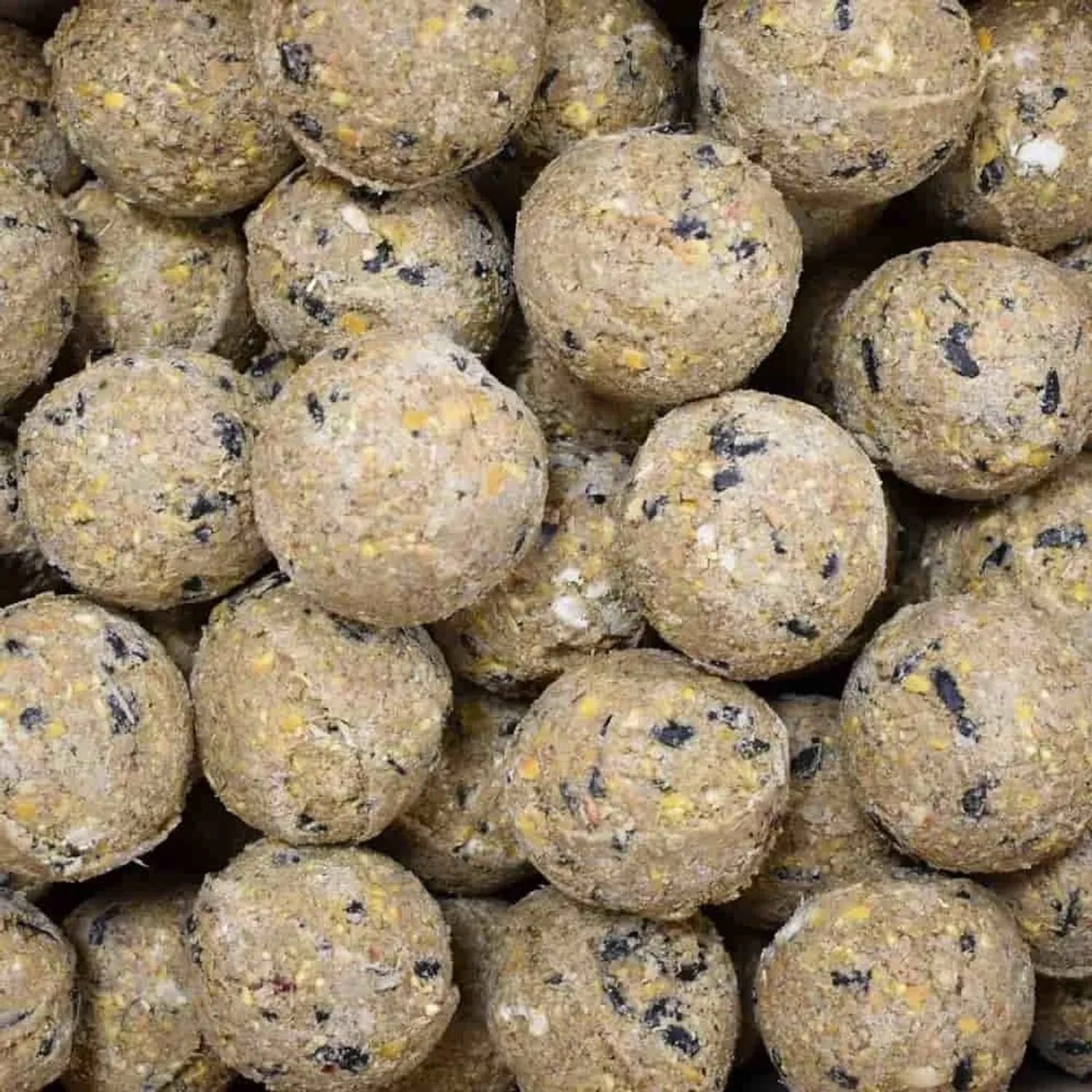 Klasebo MeisenknöDel Premium Mit Insekten 200 X Ca90 Gramm Ohne Netz