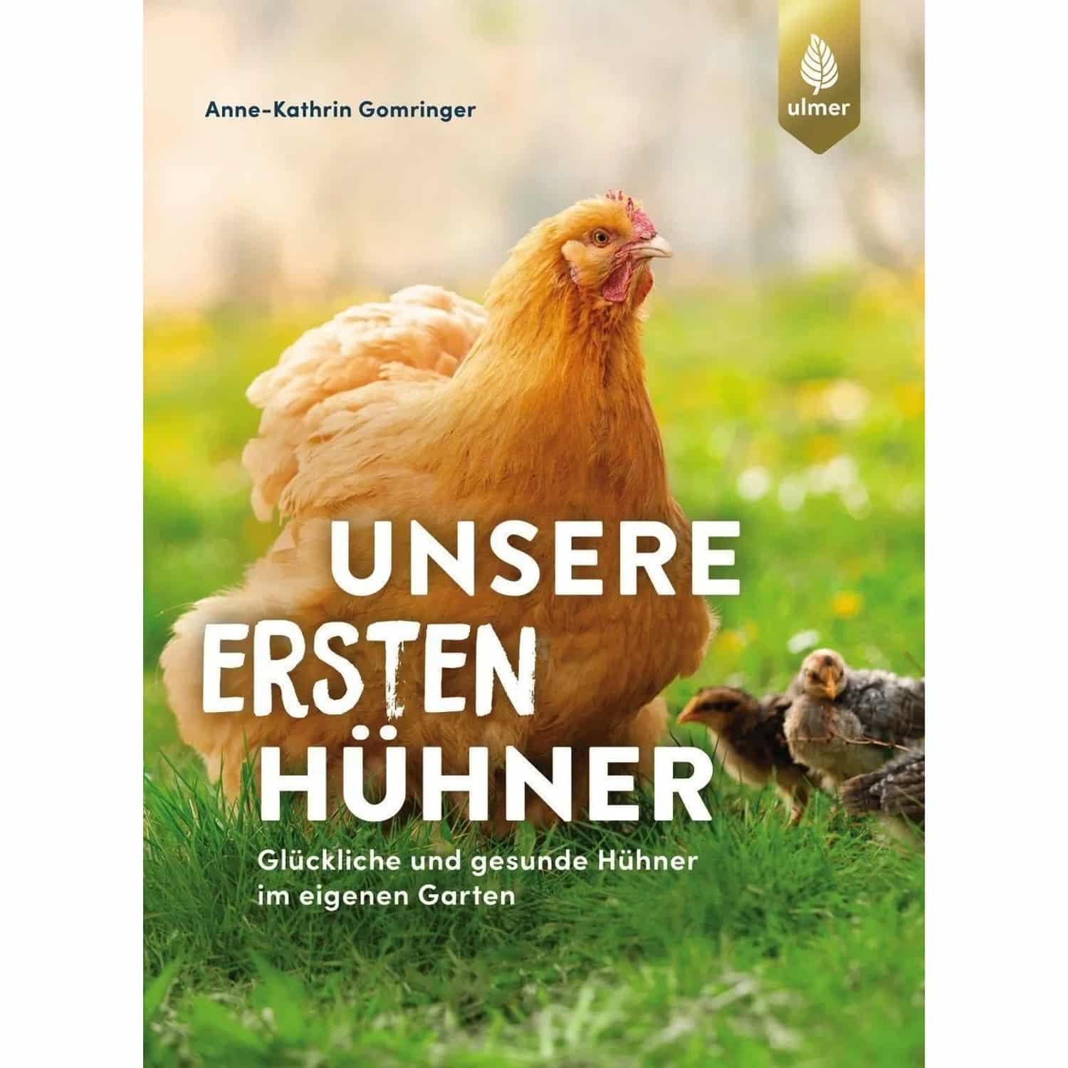 Unsere ersten Hühner